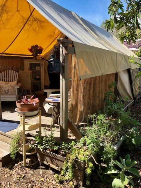 La Boheme Living Campo de lujo Los Ángeles